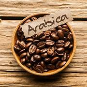 Arabica Coffee